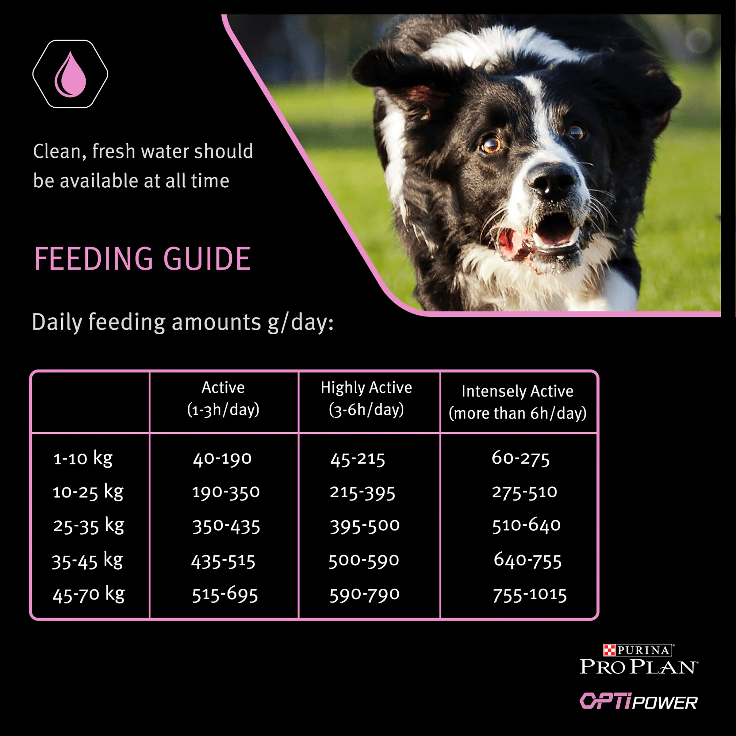 Purina Pro Plan Opti Power Performance Adult Dry Dog Food - Chicken - Image 7