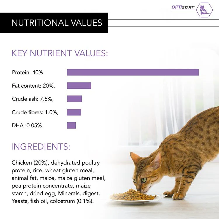 Pro Plan Kitten/Junior 1-12 Dry Cat Food - Chicken - Image 4