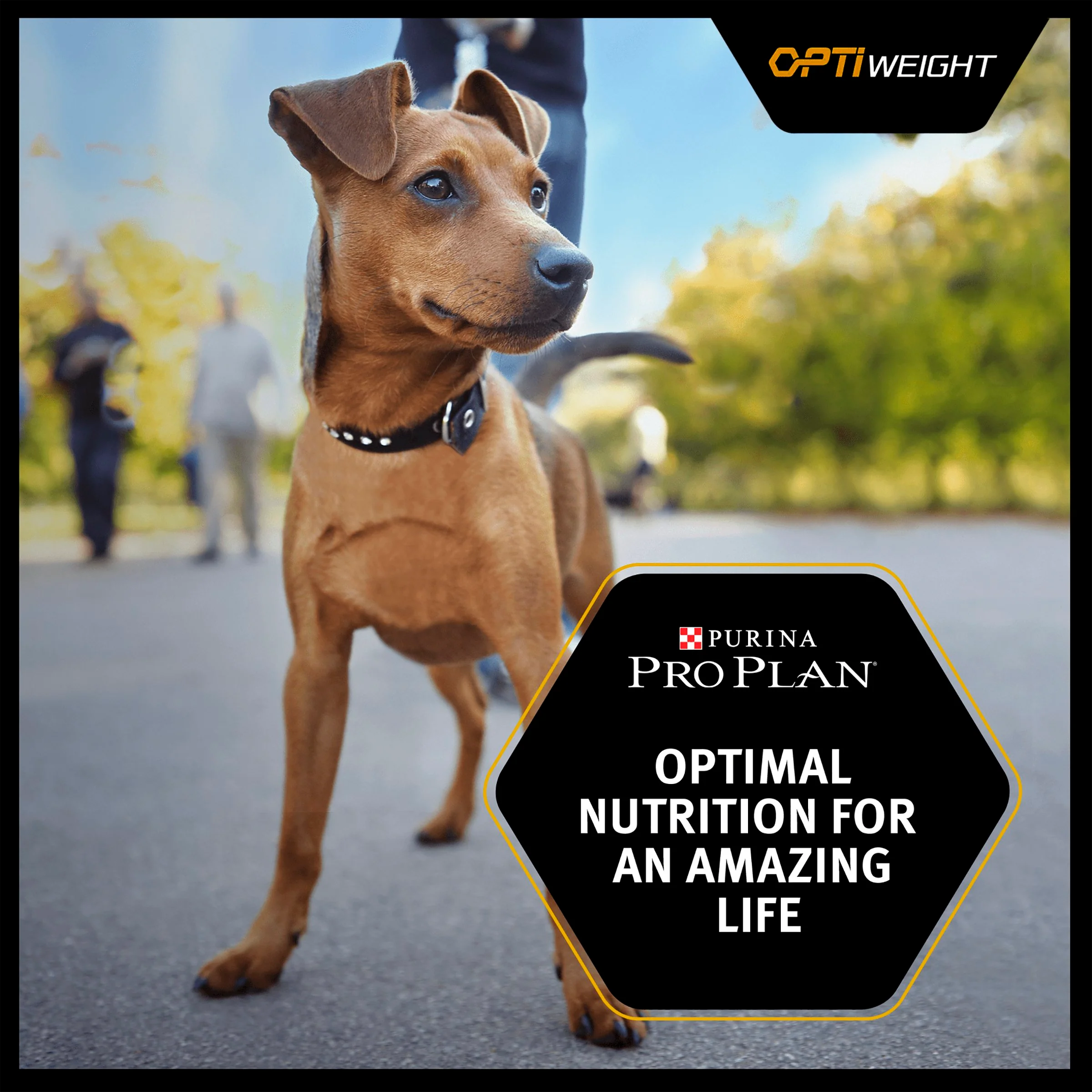 Purina Pro Plan Opti Weight Light/Sterilised Adult Dry Dog Food - Chicken - Image 2