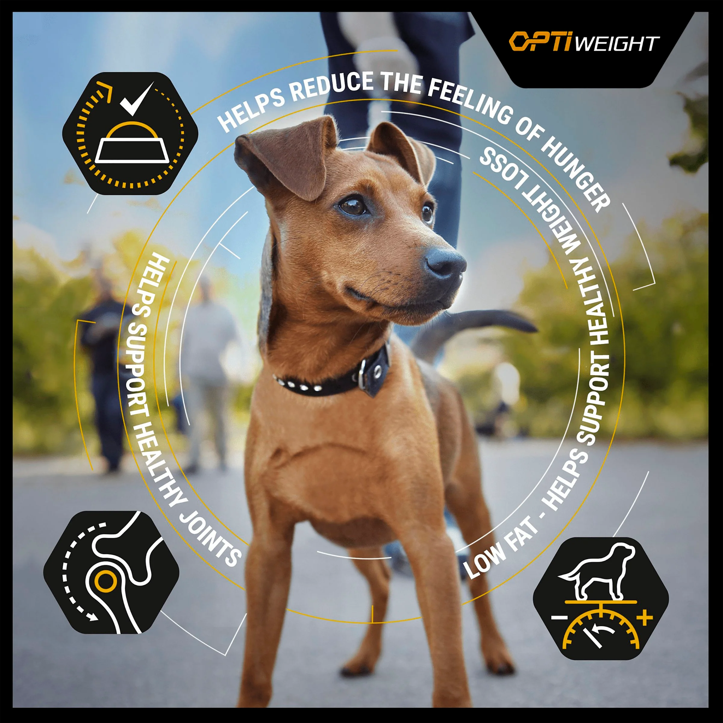 Purina Pro Plan Opti Weight Light/Sterilised Adult Dry Dog Food - Chicken - Image 3