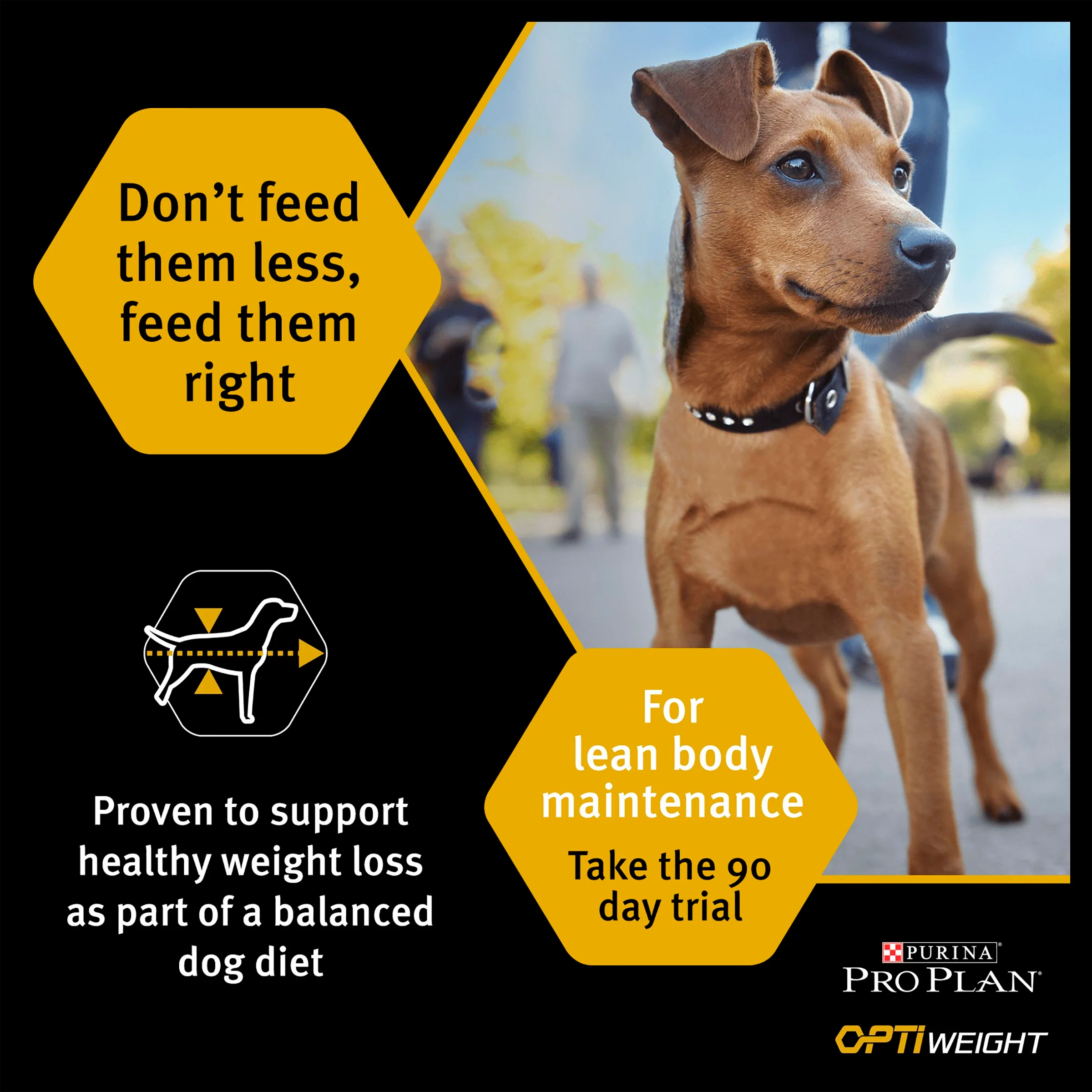 Purina Pro Plan Opti Weight Light/Sterilised Adult Dry Dog Food - Chicken - Image 5