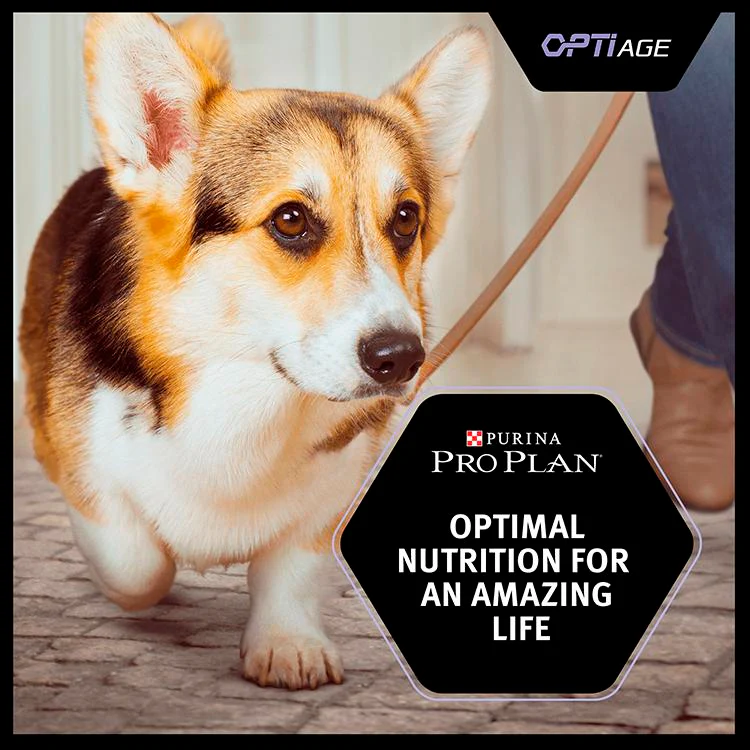 Purina Pro Plan OptiAge Small Adult 9+ Dry Dog Food - Chicken - Image 5