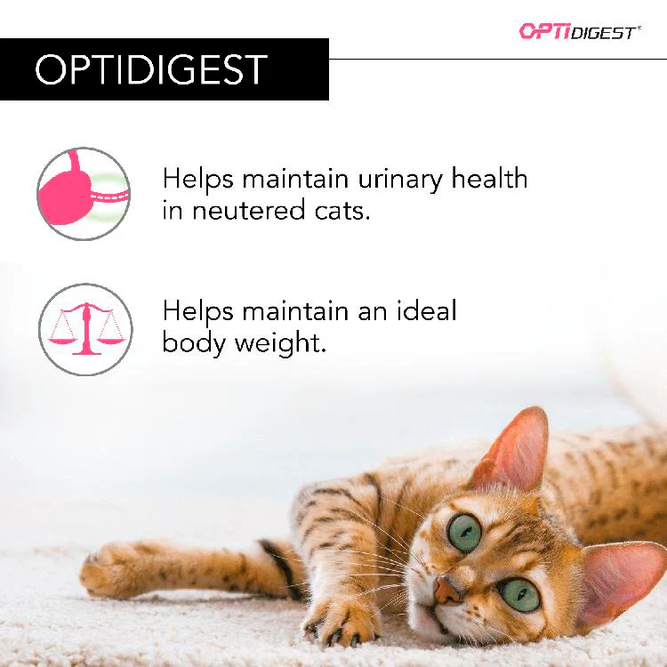 Purina Pro Plan Optidigest Sterilised Adult Dy Cat Food - Chicken & Rice - Image 7