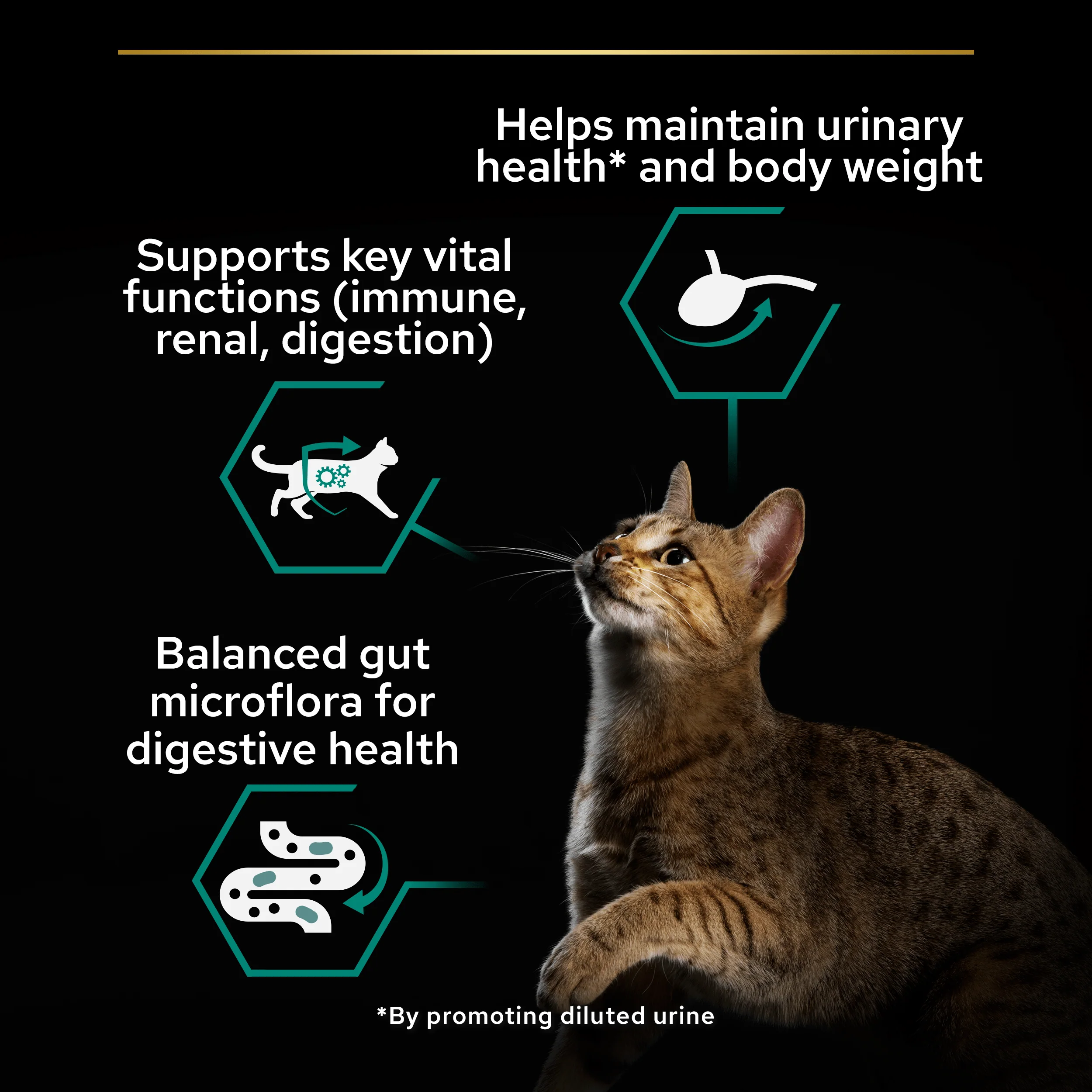 Purina Pro Plan Senior 7+ Sterilised Maintenance with Turkey in Gravy Wet Cat Food Pouches - Image 9