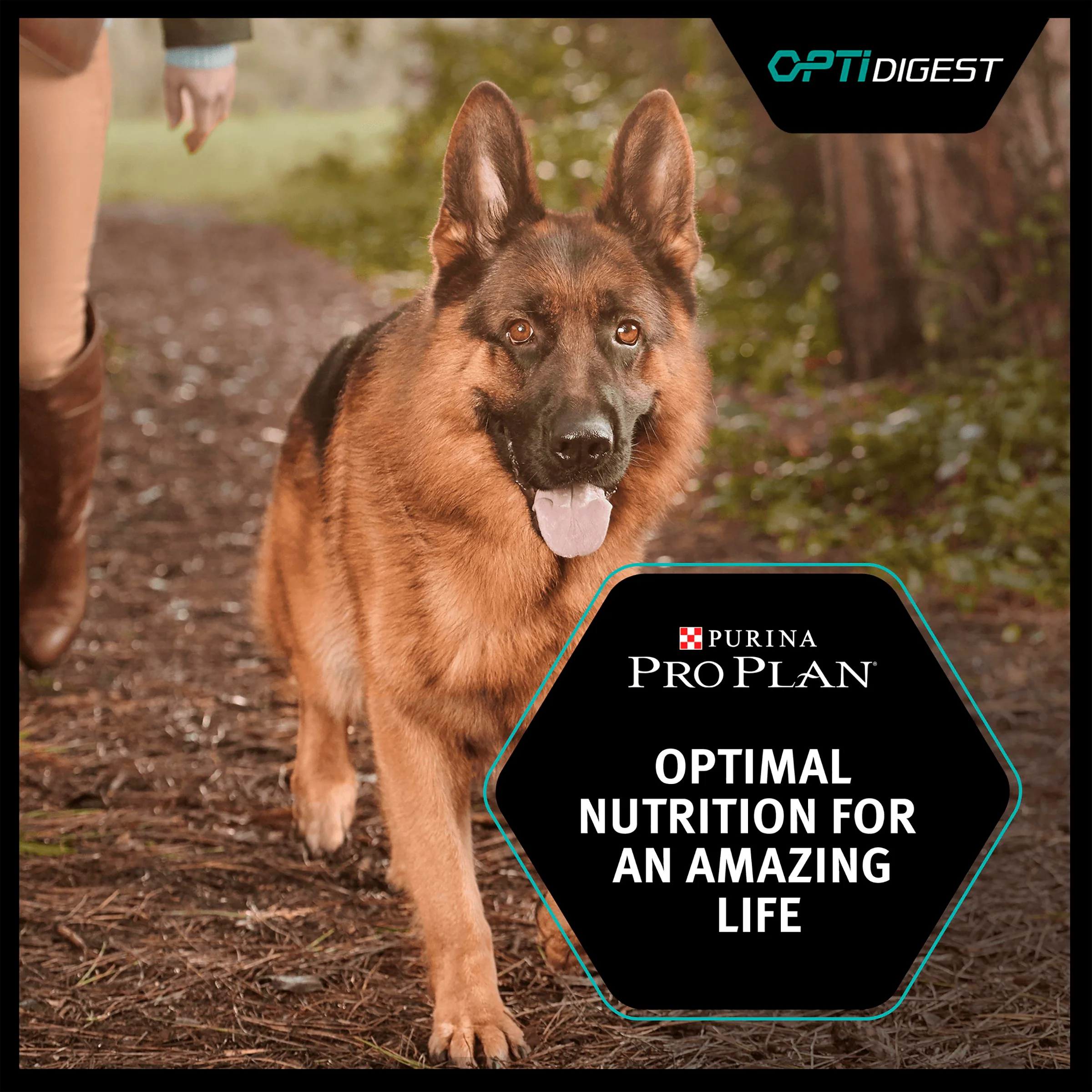 Purina Pro Plan Sensitive Digestion Medium Adult Dry Dog Food - Lamb - Image 4