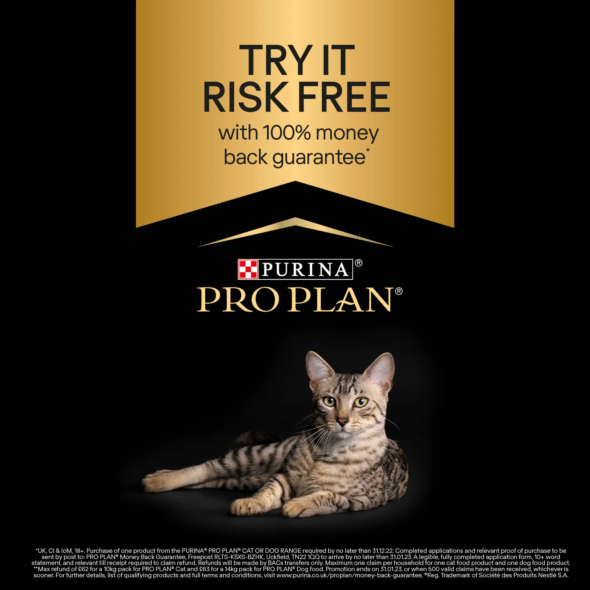 Purina Pro Plan Sterilized Optirenal Rich Adult Dry Cat Food - Salmon - Image 4