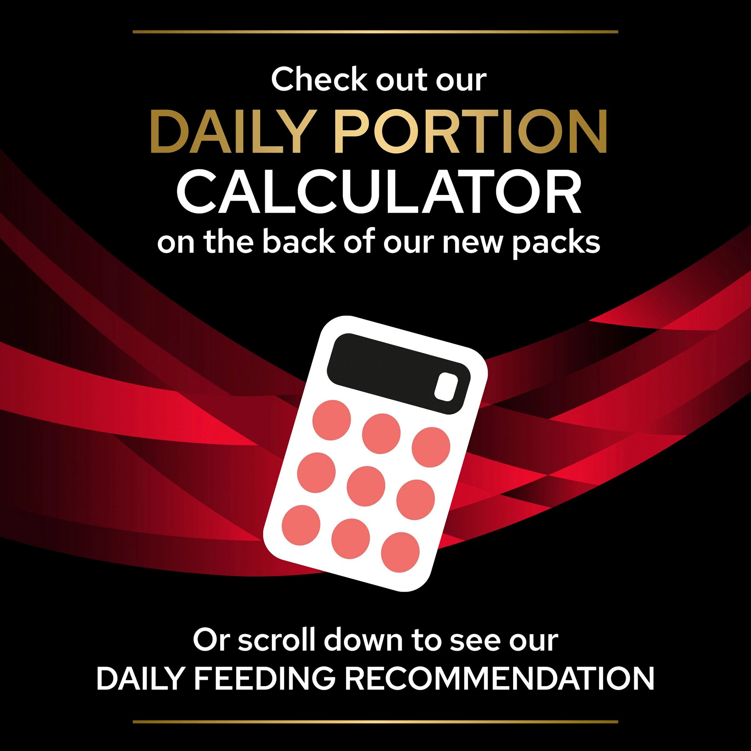 Pro Plan Veterinary Diets DM Diabetes Management Adult Wet Cat Food - Beef - Image 8