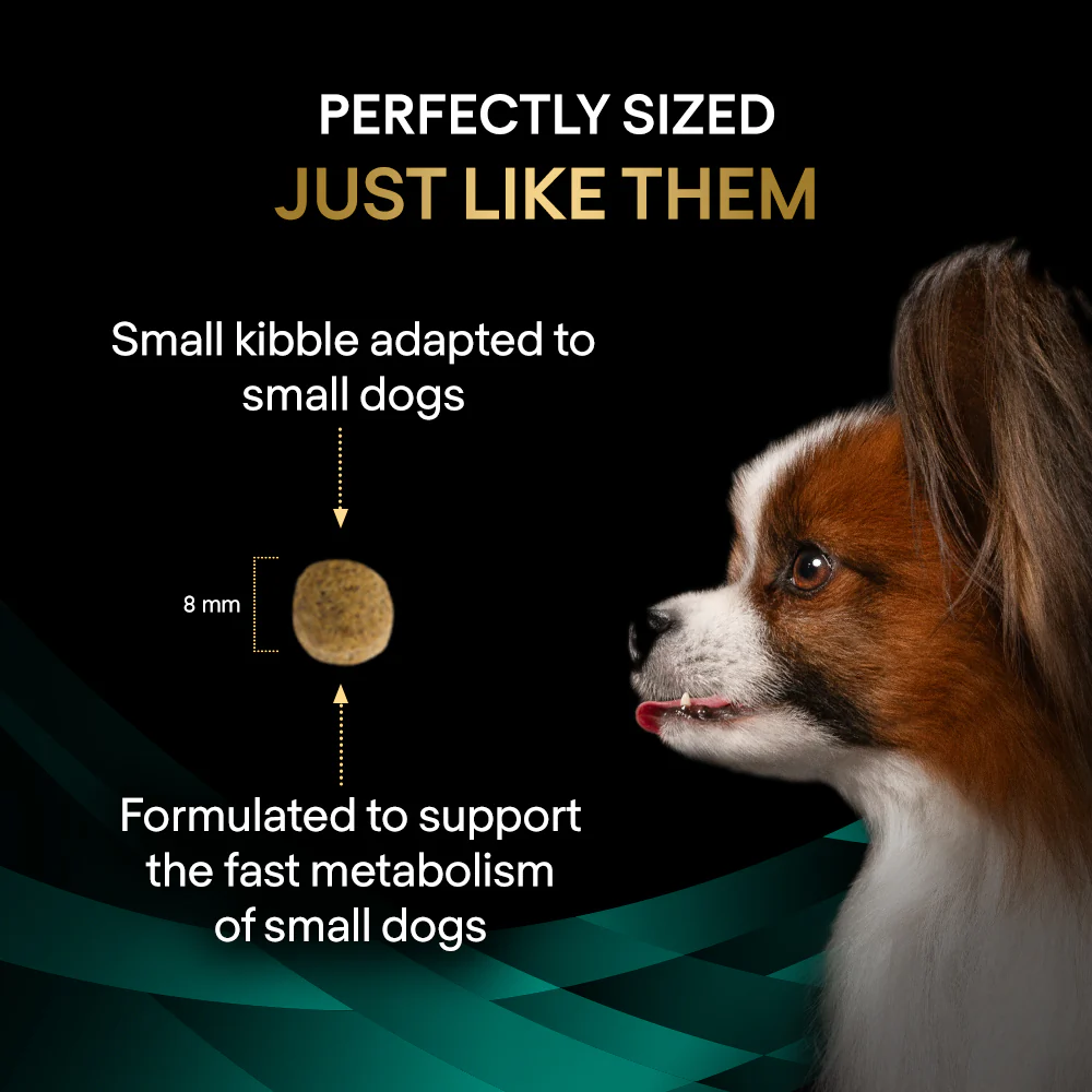 Purina Pro Plan Veterinary Diets EN Canine St/Ox Gastrointestinal Small & Mini Puppy & Adult Dry Dog Food - Image 11