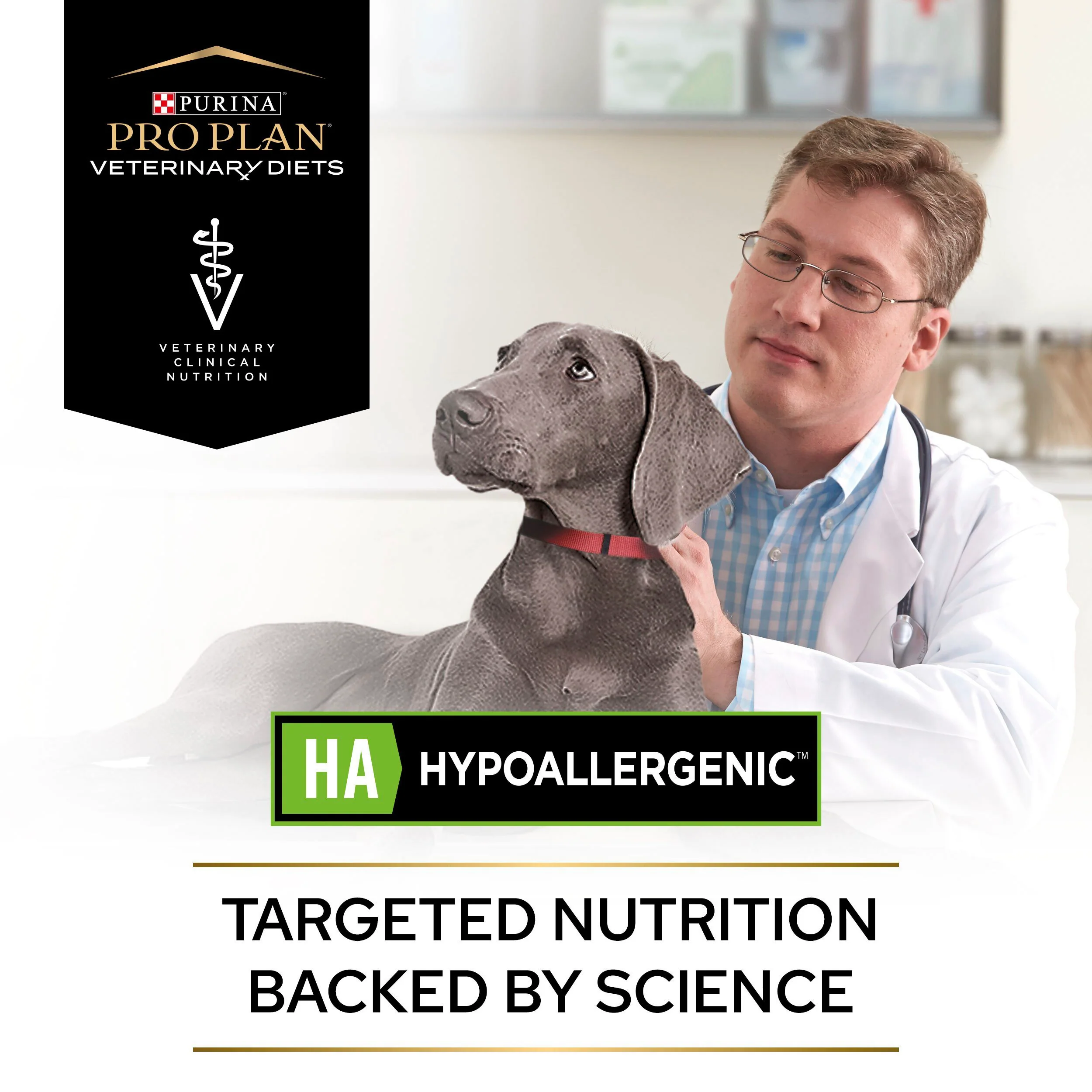 Purina Pro Plan Veterinary Diets HA Hypoallergenic Mousse Wet Dog Food - Image 11