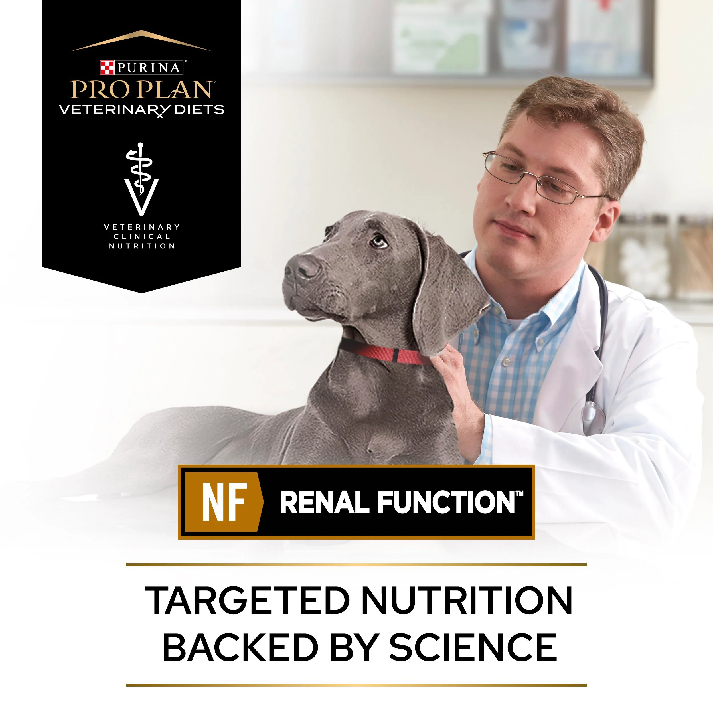 Purina Pro Plan Veterinary Diets NF Renal Mousse Wet Dog Food - Image 11