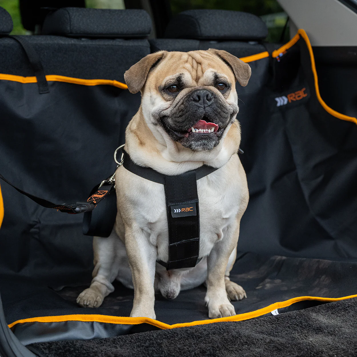 Rac 2 in 1 Max Chest Pet Car Harness - Image 12
