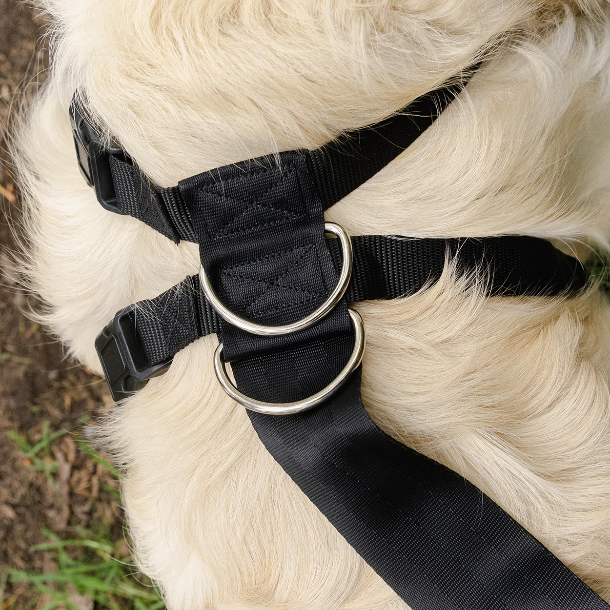 Rac 2 in 1 Max Chest Pet Car Harness - Image 8