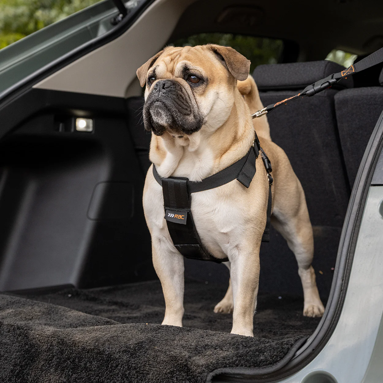 Rac 2 in 1 Max Chest Pet Car Harness - Image 11
