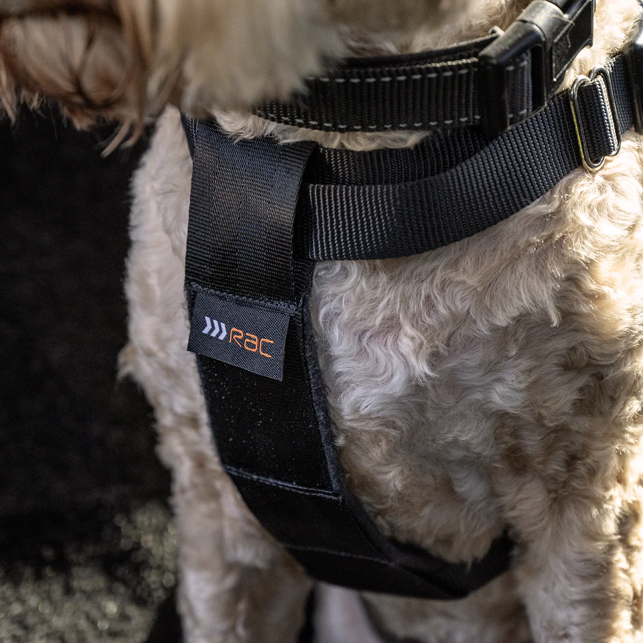 Rac 2 in 1 Max Chest Pet Car Harness - Image 9