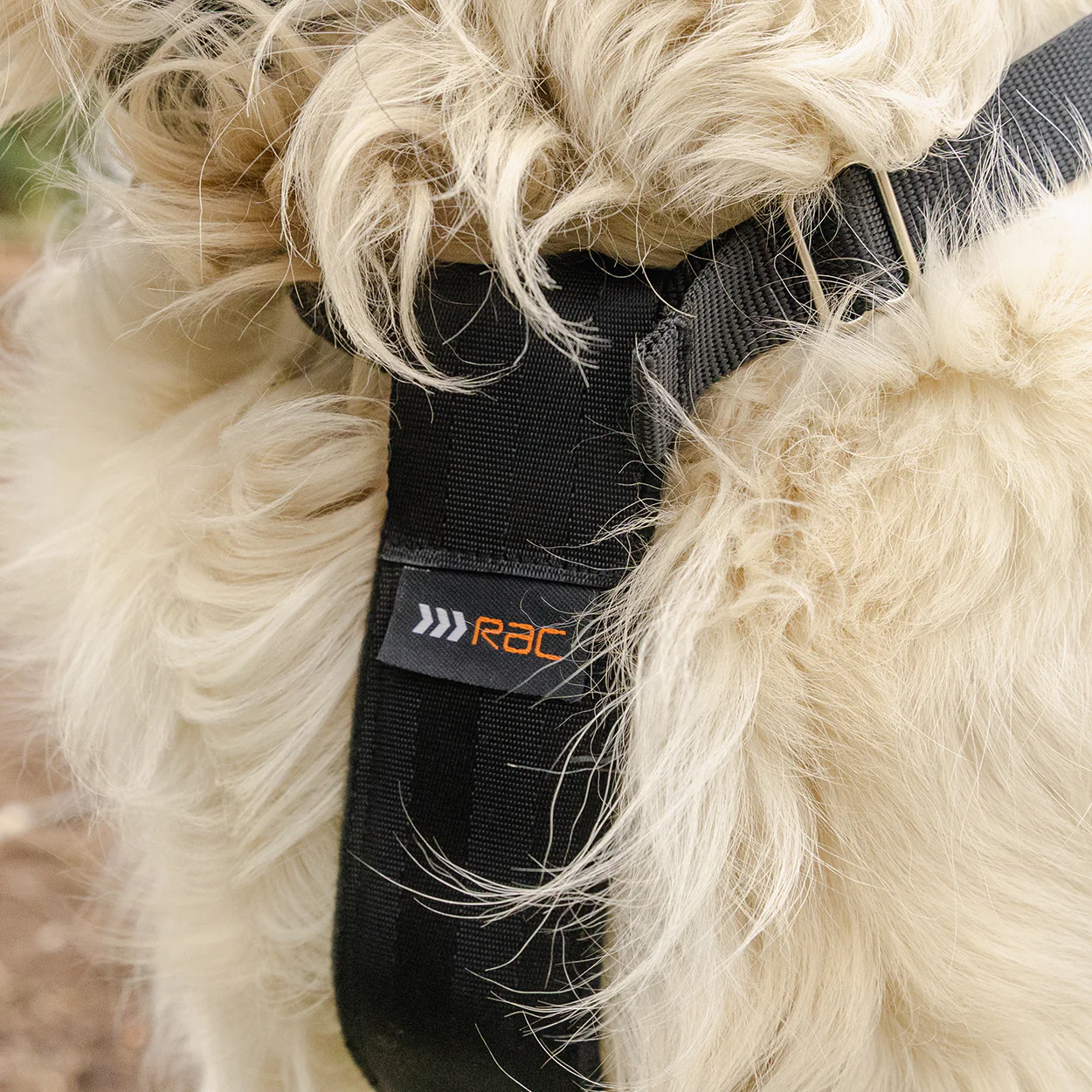 Rac 2 in 1 Max Chest Pet Car Harness - Image 7