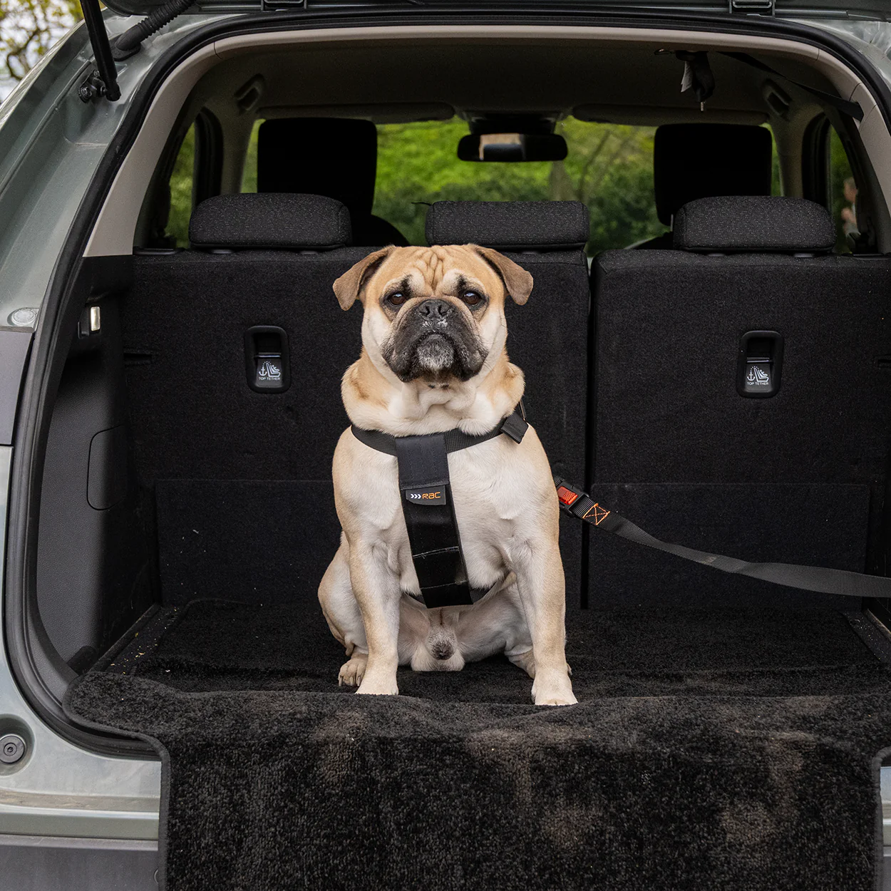 Rac Advanced Bumper Protector Nylon Dog Boot Bed - Image 10