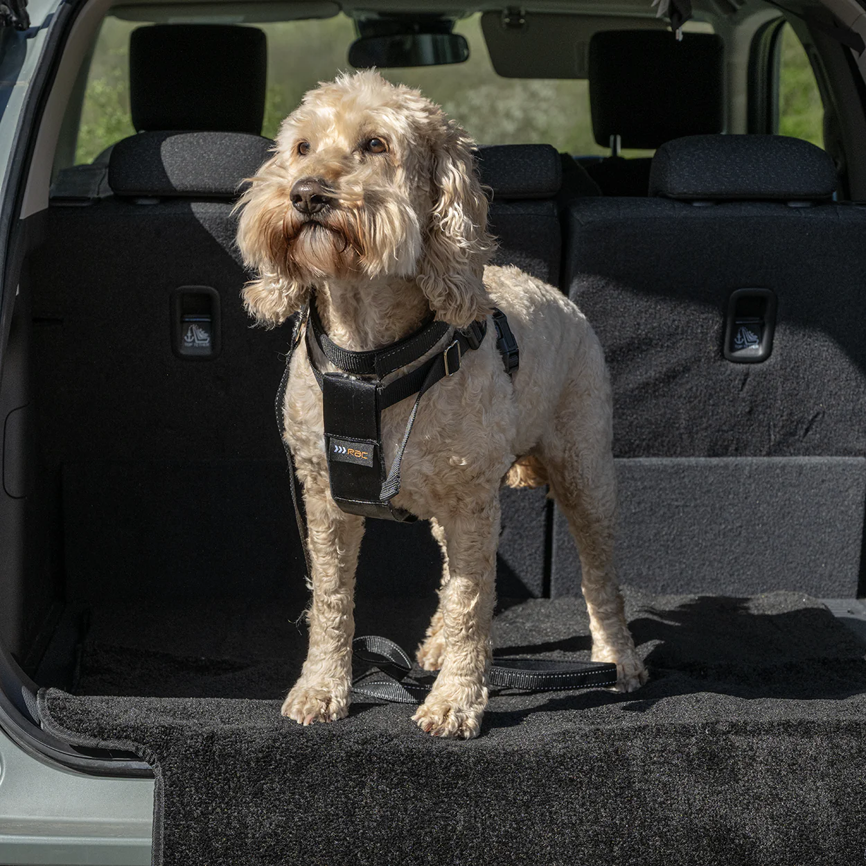 Rac Advanced Bumper Protector Nylon Dog Boot Bed - Image 2