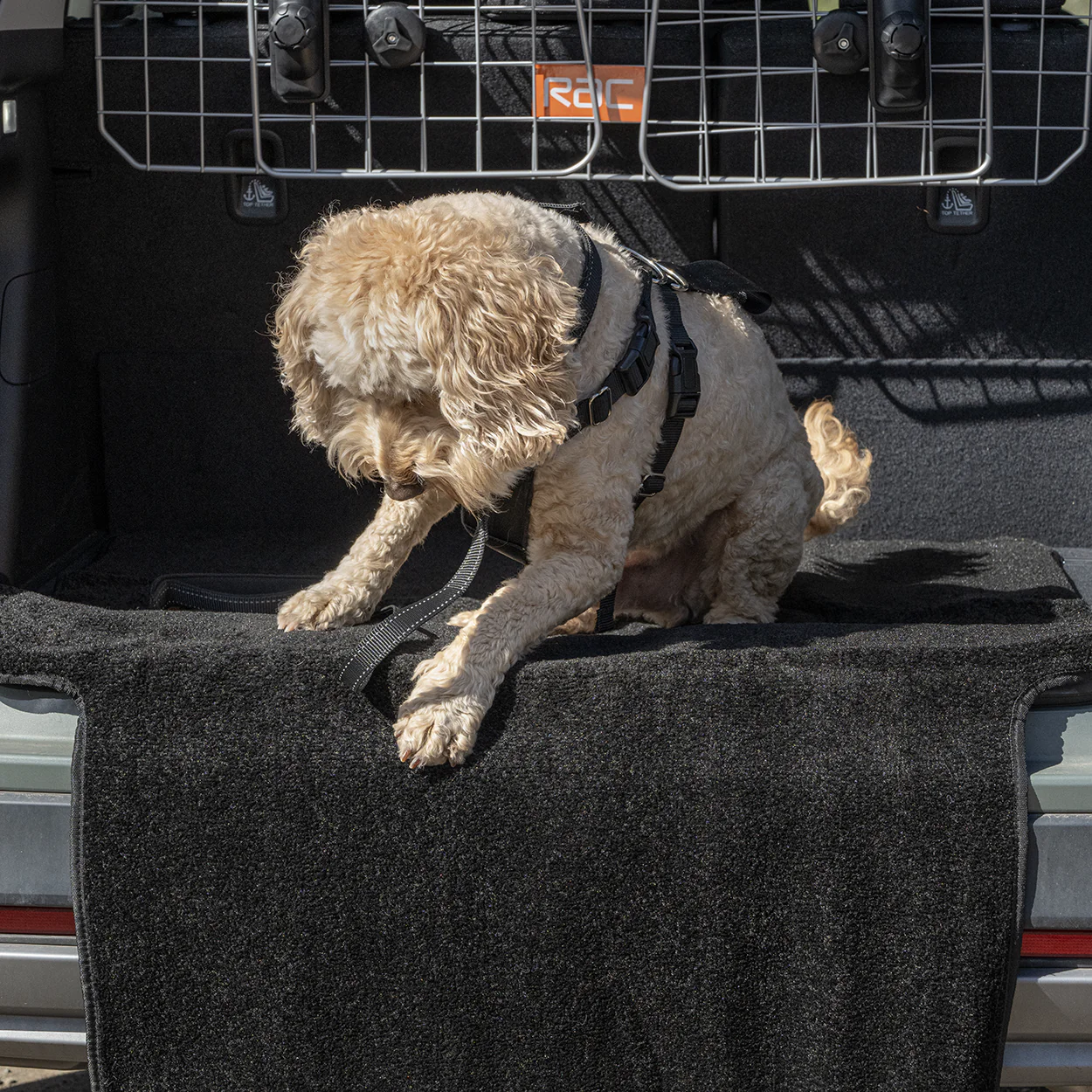Rac Advanced Bumper Protector Nylon Dog Boot Bed - Image 6