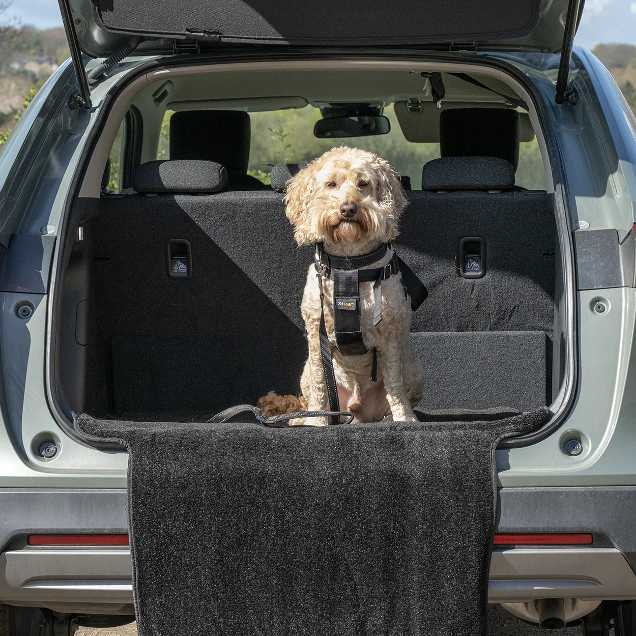 Rac Advanced Bumper Protector Nylon Dog Boot Bed - Image 8