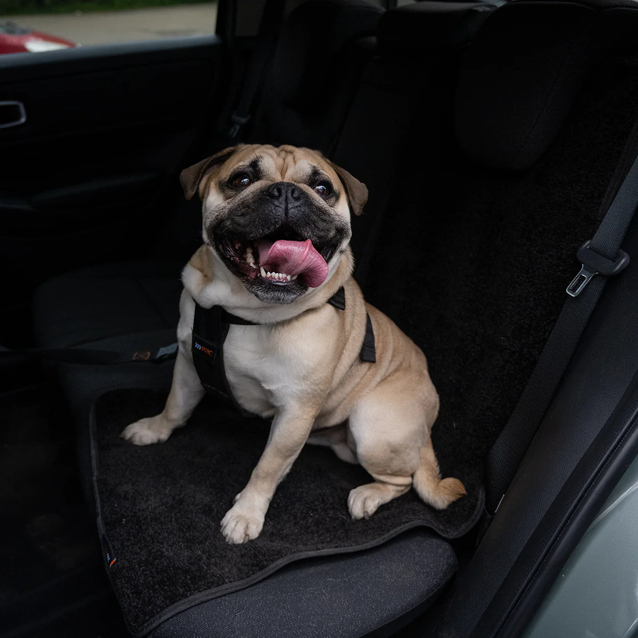 RAC Advanced Car Seat Cover - Image 7