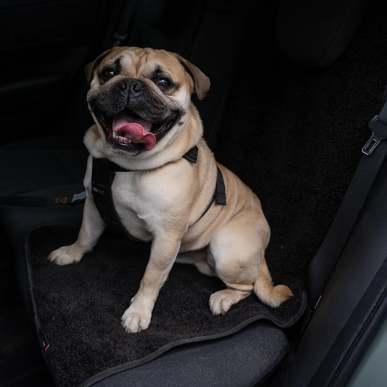 RAC Advanced Car Seat Cover - Image 8
