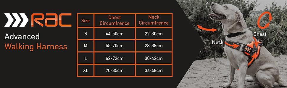 Rac Advanced Dog Harness - Image 3