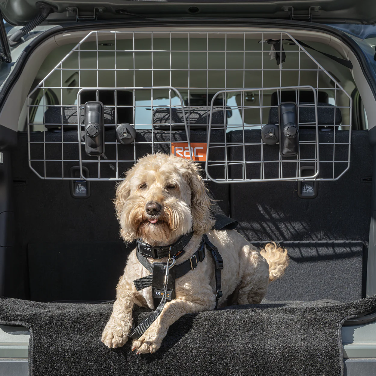 Rac Advanced Mesh Steel Dog Guard Headrest - Image 2