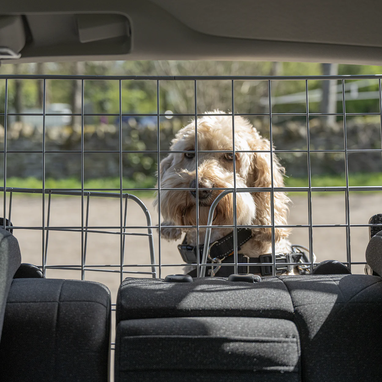 Rac Advanced Mesh Steel Dog Guard Headrest - Image 4