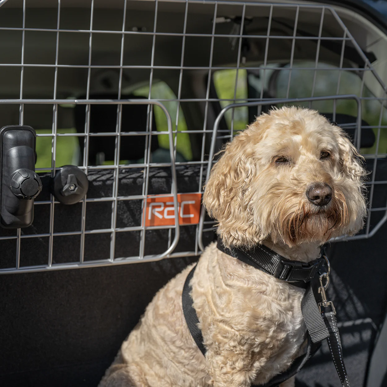 Rac Advanced Mesh Steel Dog Guard Headrest - Image 7