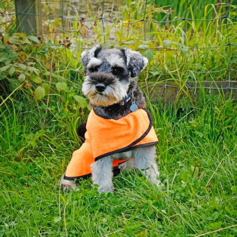 Rac Advanced Microfiber Dog Towel Coat - Image 3