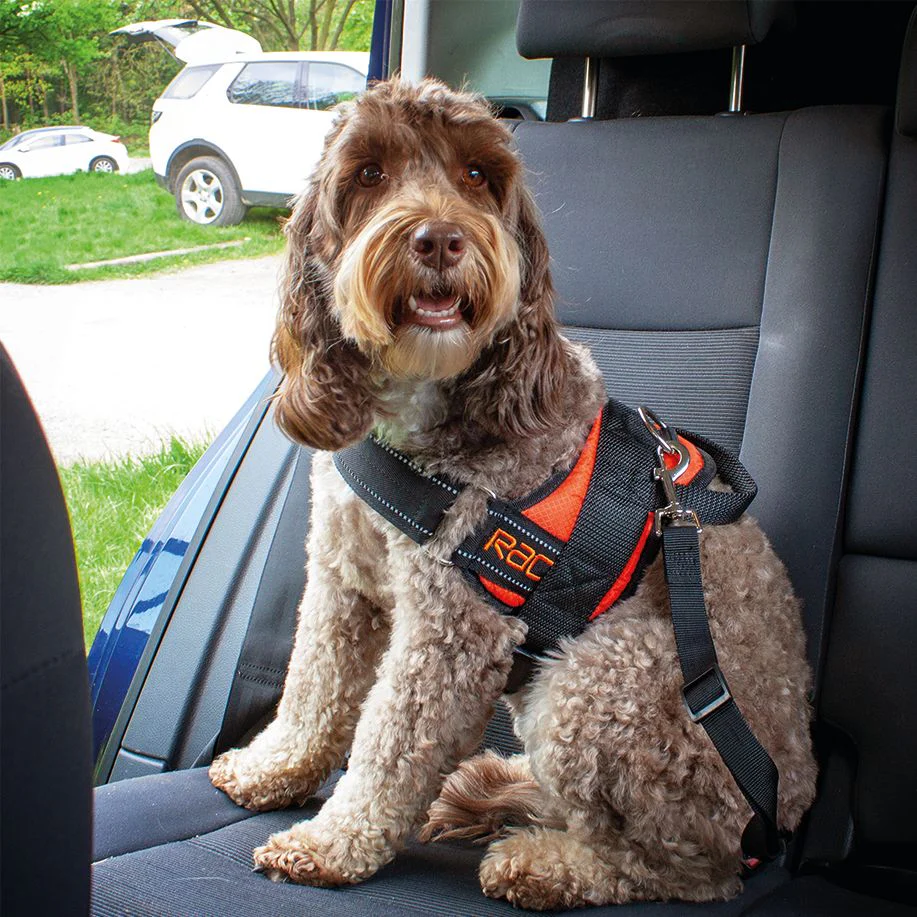 Rac Advanced Polyster Walking Dog Harness - Image 4