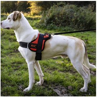 Rac Advanced Polyster Walking Dog Harness - Image 5