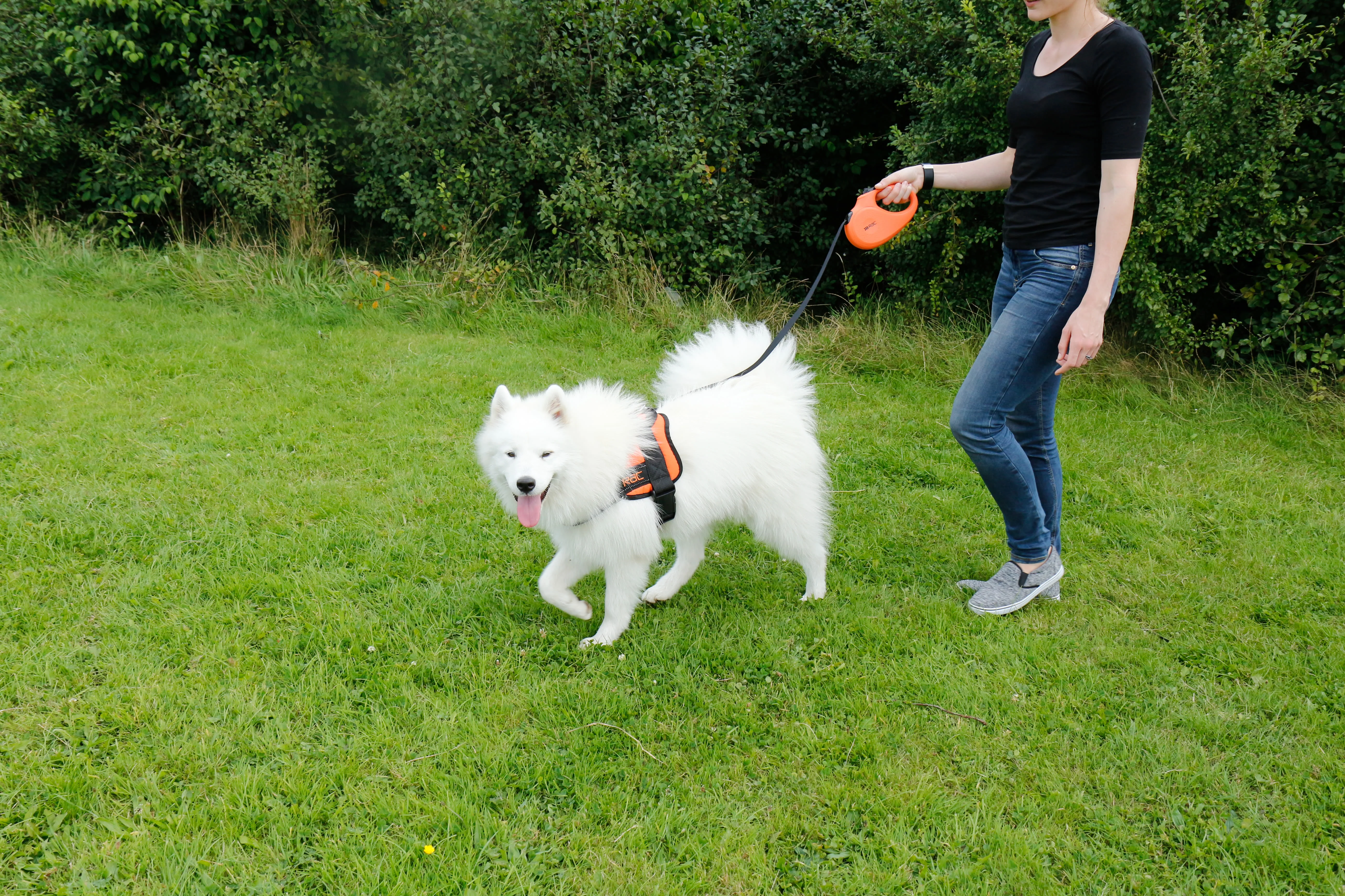 Rac Advanced Polyster Walking Dog Harness - Image 6