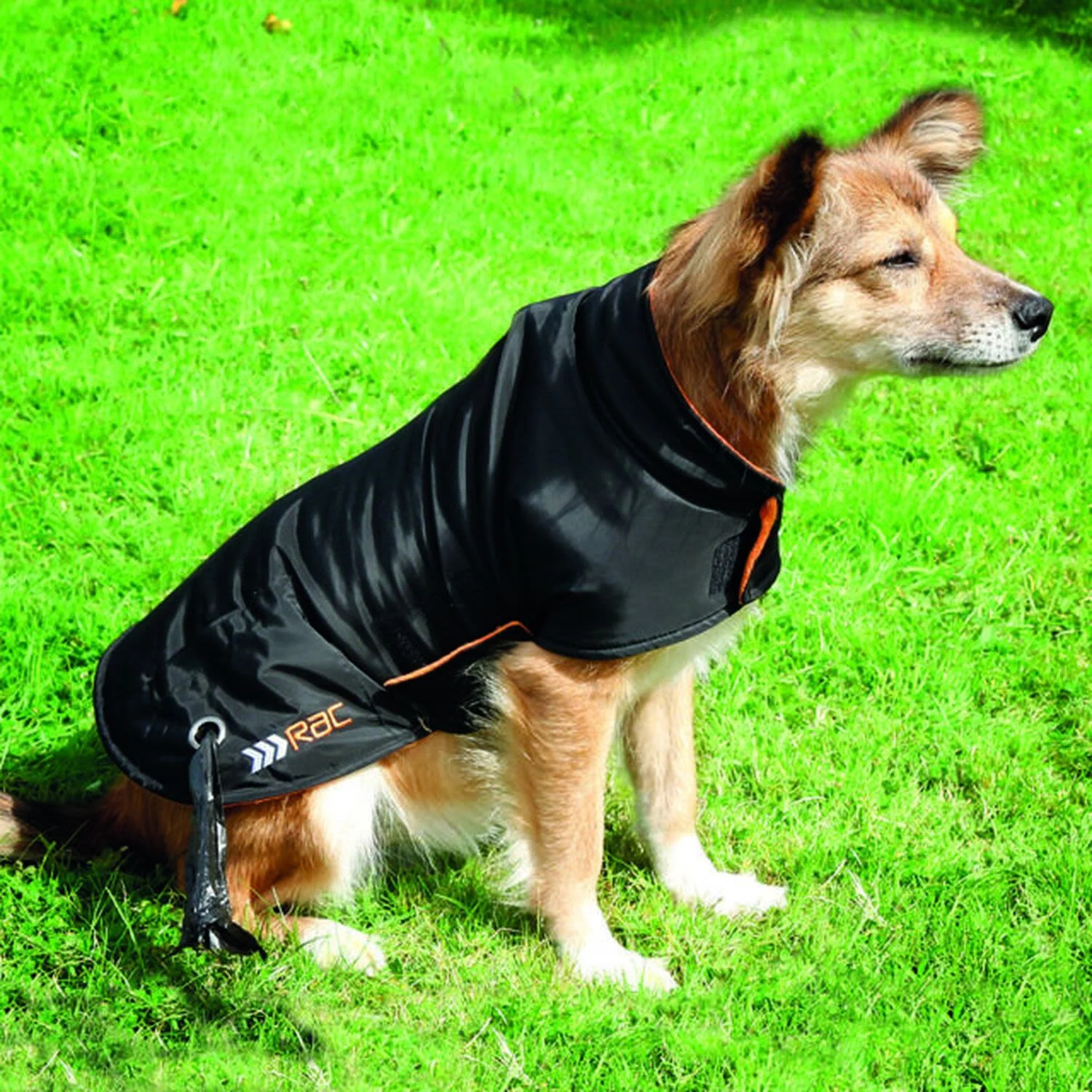 Rac Advanced Weatherproof Dog Coat - Image 6