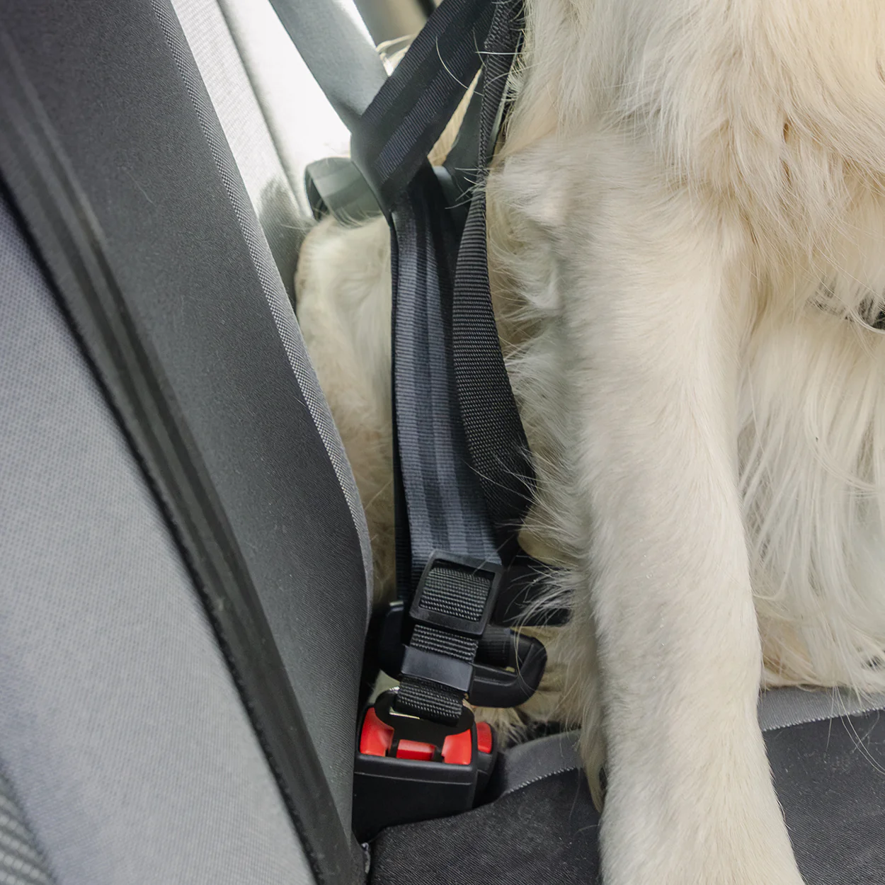 Rac In-car Seatbelt Connector Strap Harness - Image 6