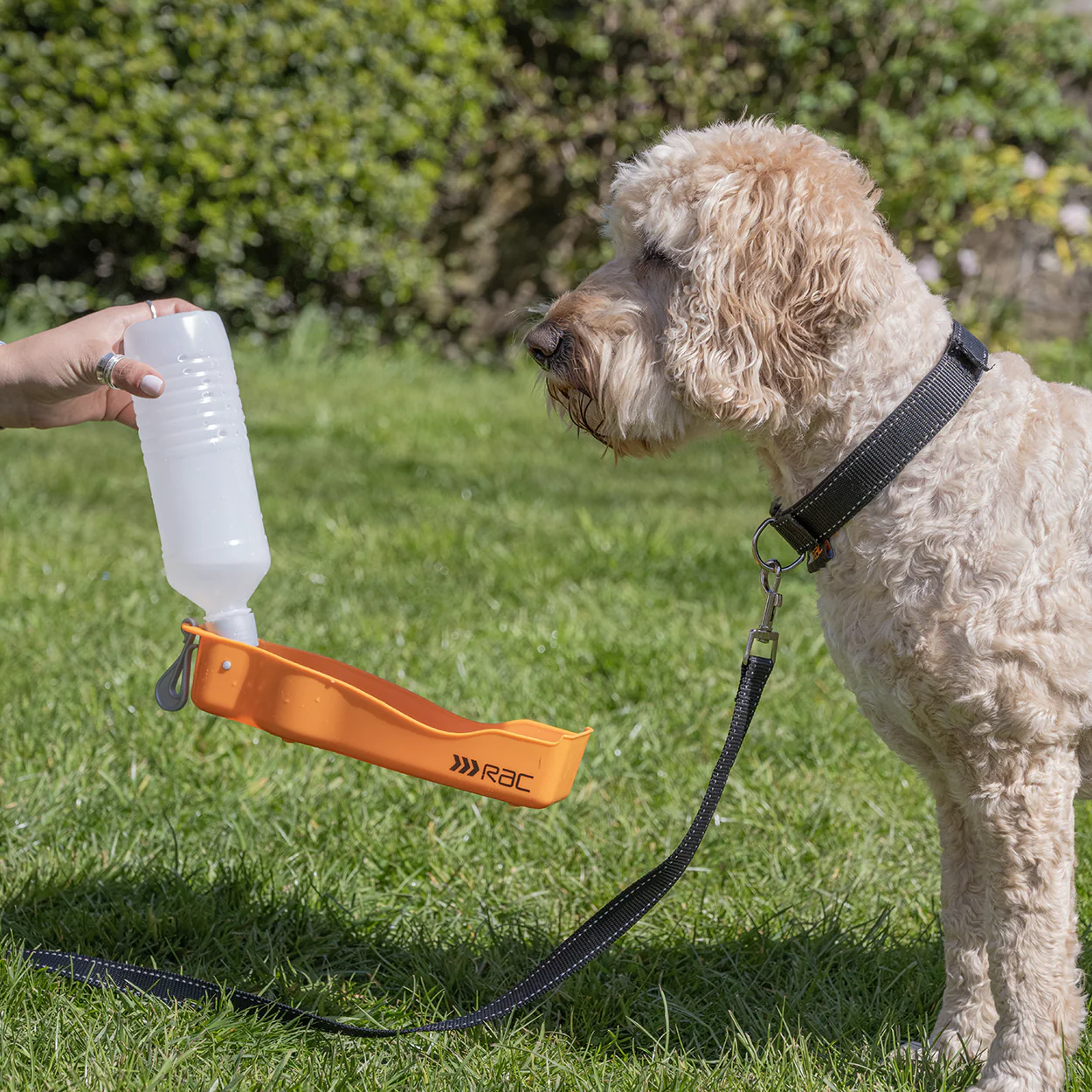 Rac Travel Plastic Dog Water Bottle - Image 5
