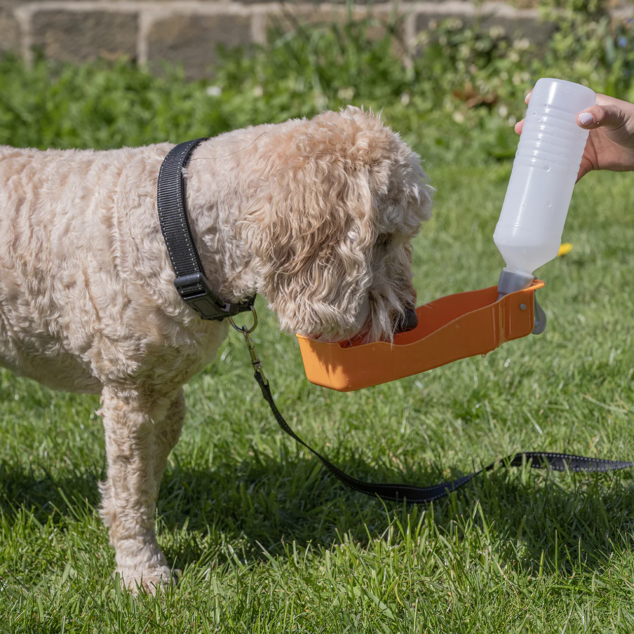 Rac Travel Plastic Dog Water Bottle - Image 7