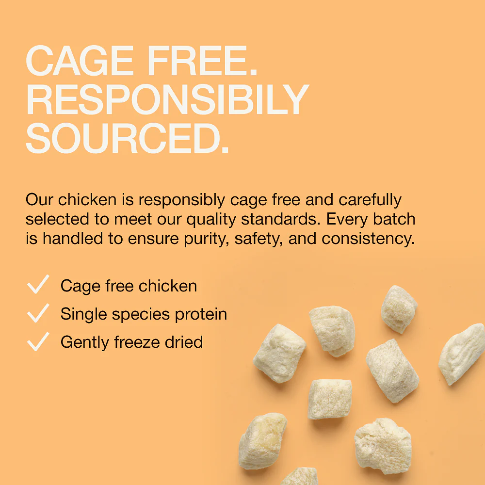 Real Simplicity Freeze Dried Single Protein Bites Farm Raised Chicken Adult Cat Treat - Image 7