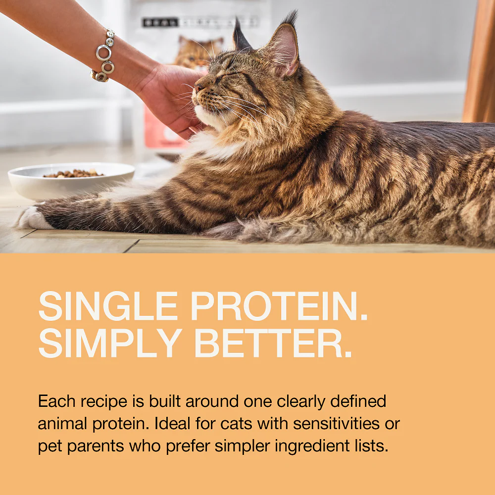 Real Simplicity Freeze Dried Single Protein Bites Farm Raised Chicken Adult Cat Treat - Image 8