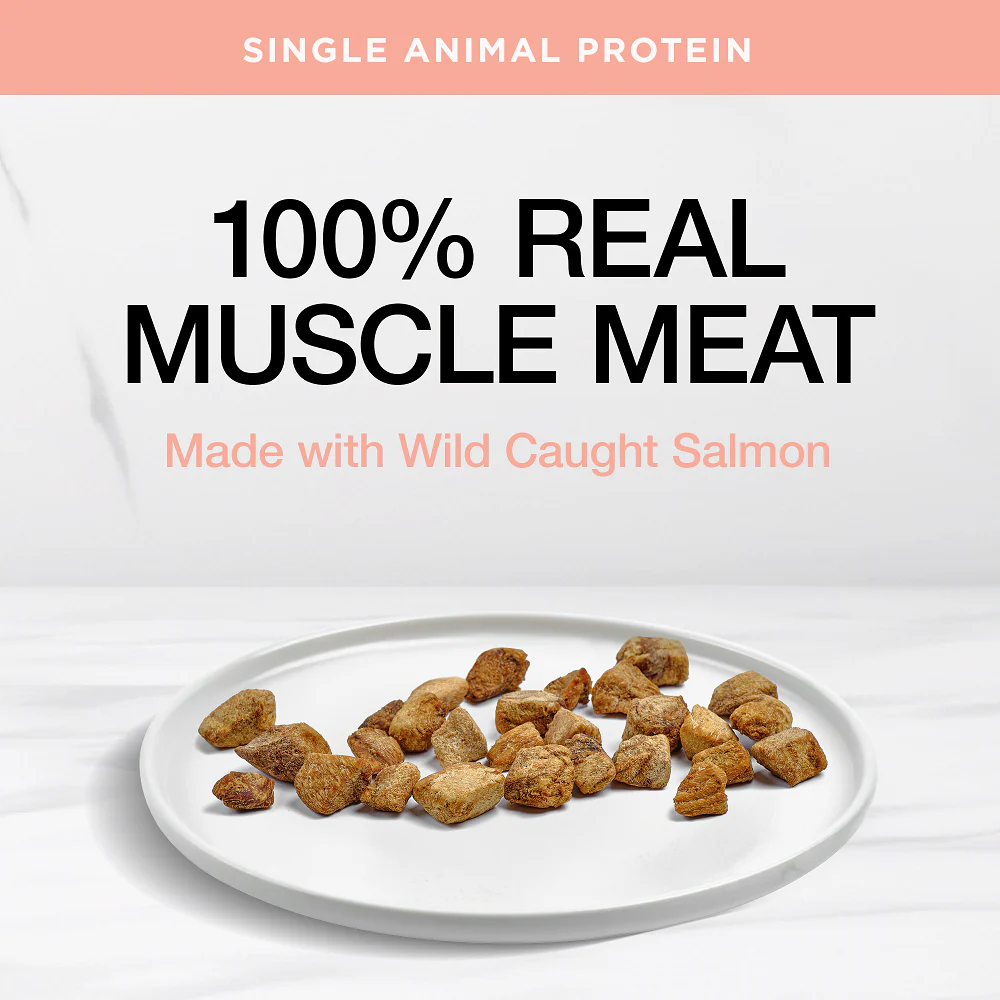 Real Simplicity Freeze Dried Single Protein Bites Wild Caught Salmon Adult Cat Treat - Image 3