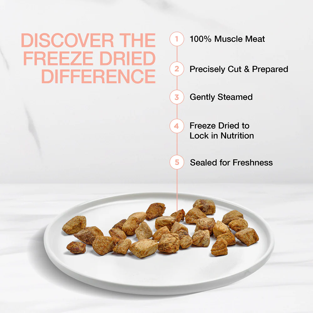 Real Simplicity Freeze Dried Single Protein Bites Wild Caught Salmon Adult Cat Treat - Image 4