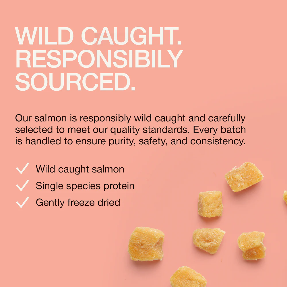 Real Simplicity Freeze Dried Single Protein Bites Wild Caught Salmon Adult Cat Treat - Image 7