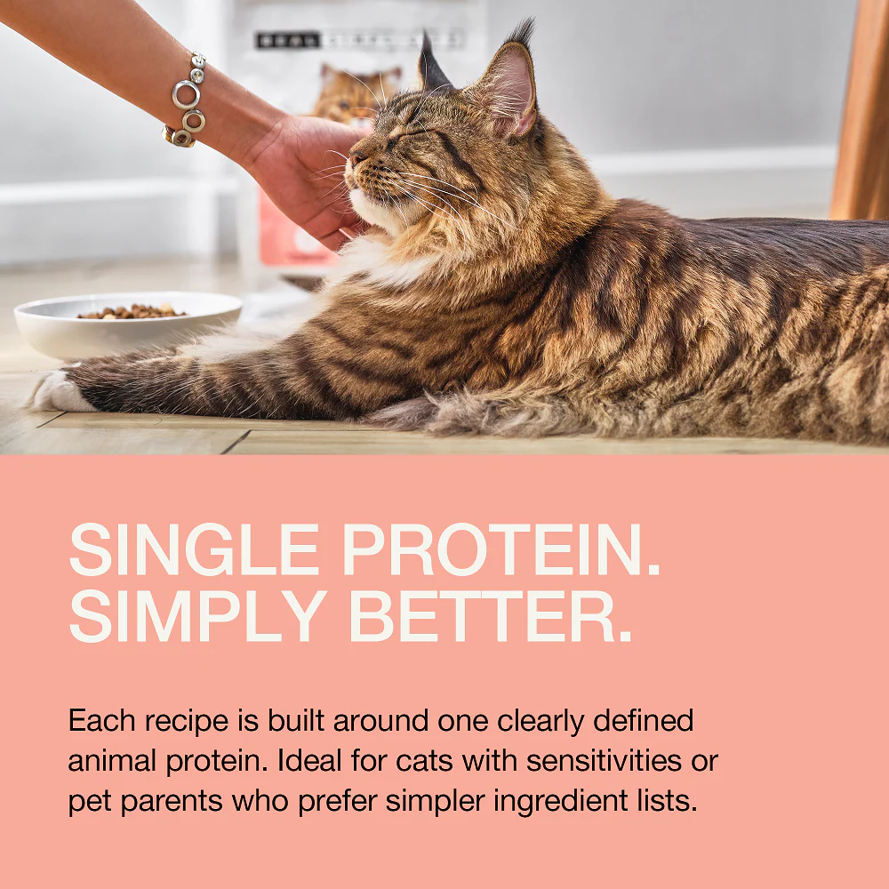 Real Simplicity Freeze Dried Single Protein Bites Wild Caught Salmon Adult Cat Treat - Image 8