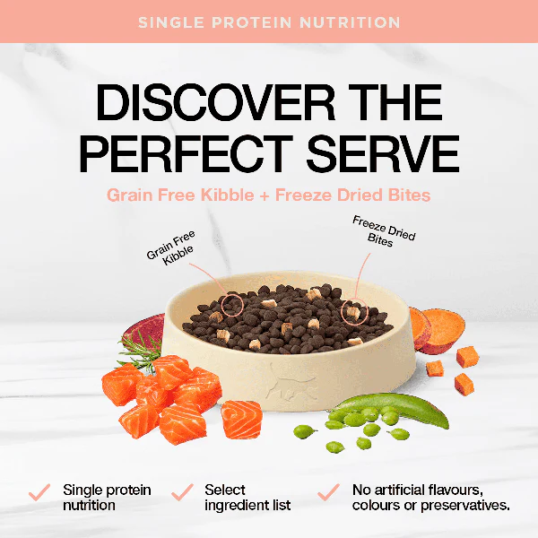 Real Simplicity Grain Free Kibble Wild Caught Salmon Adult Dry Cat Food - Image 2