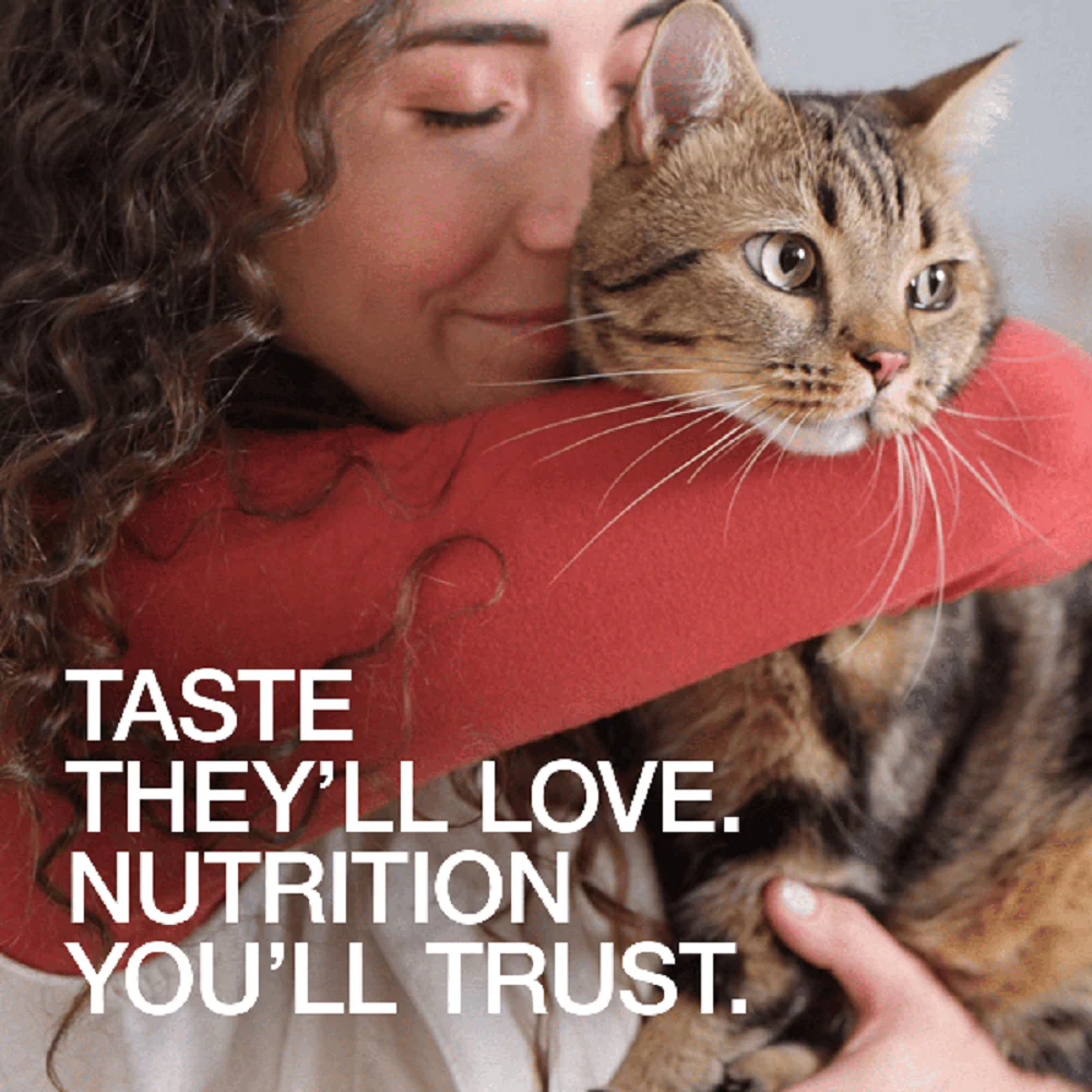 Real Simplicity Grain Free Kibble Farm Raised Chicken Adult Dry Cat Food - Image 3