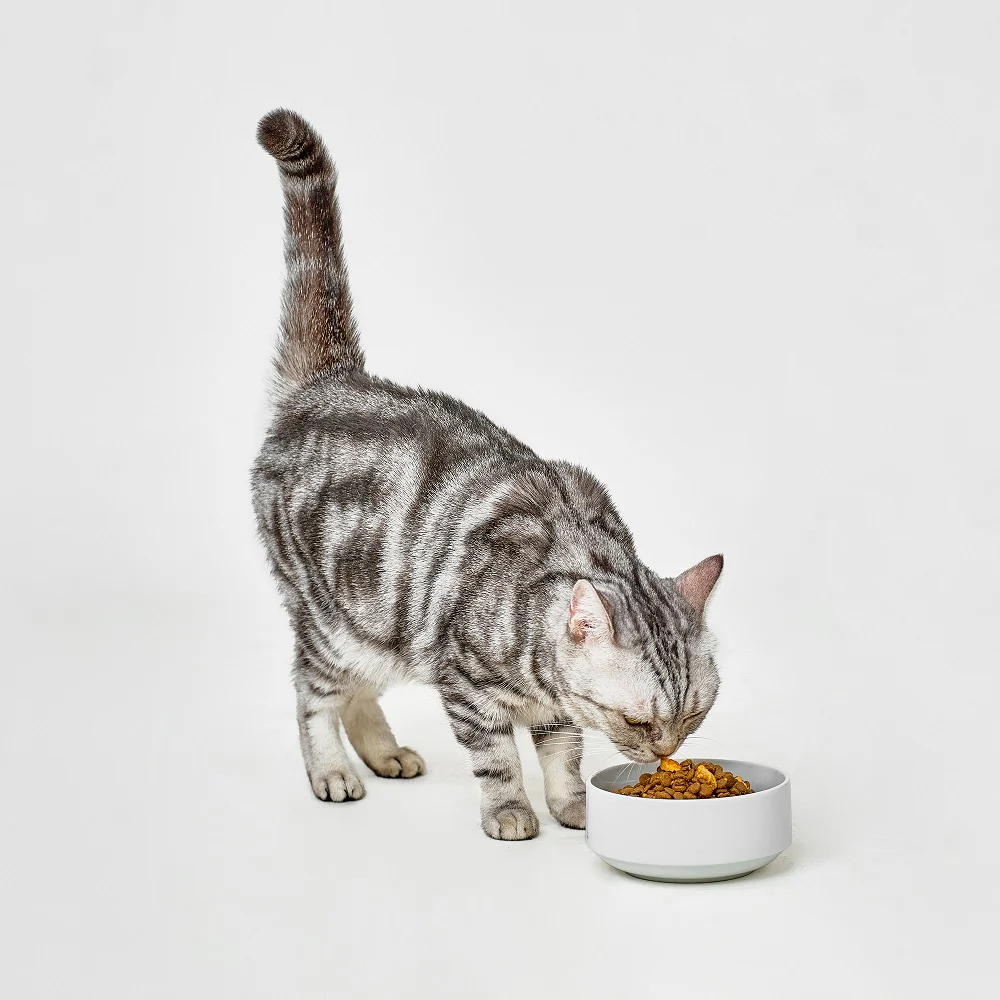 Real Simplicity Grain Free Kibble Farm Raised Chicken Adult Dry Cat Food - Image 4