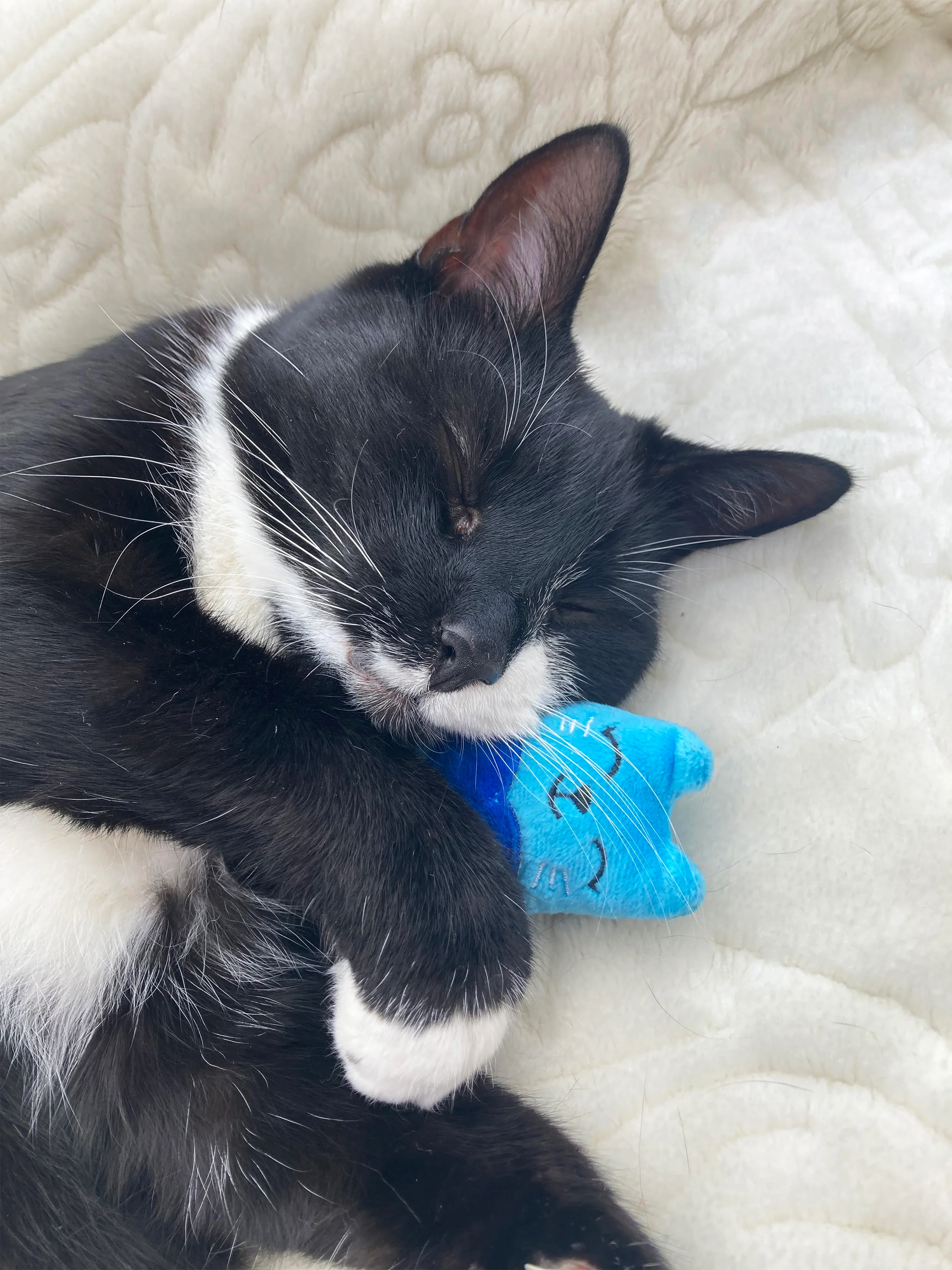 Rosewood Battersea Catnip Toy - Image 9