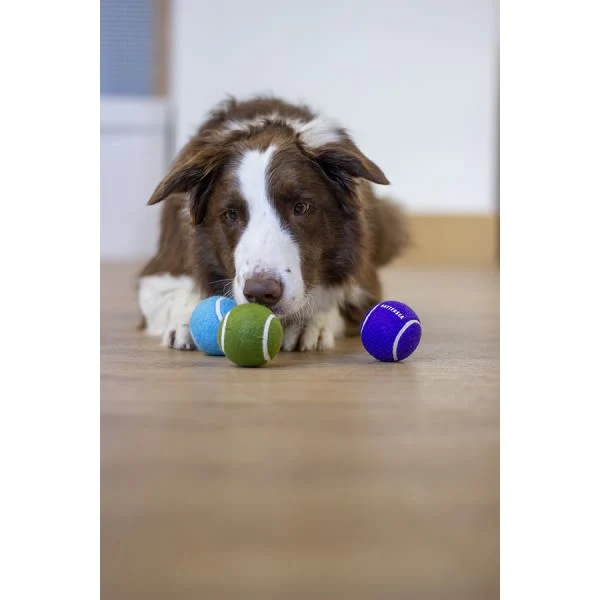 Rosewood Battersea Squeaky Tennis Balls Dog Toy - Image 5