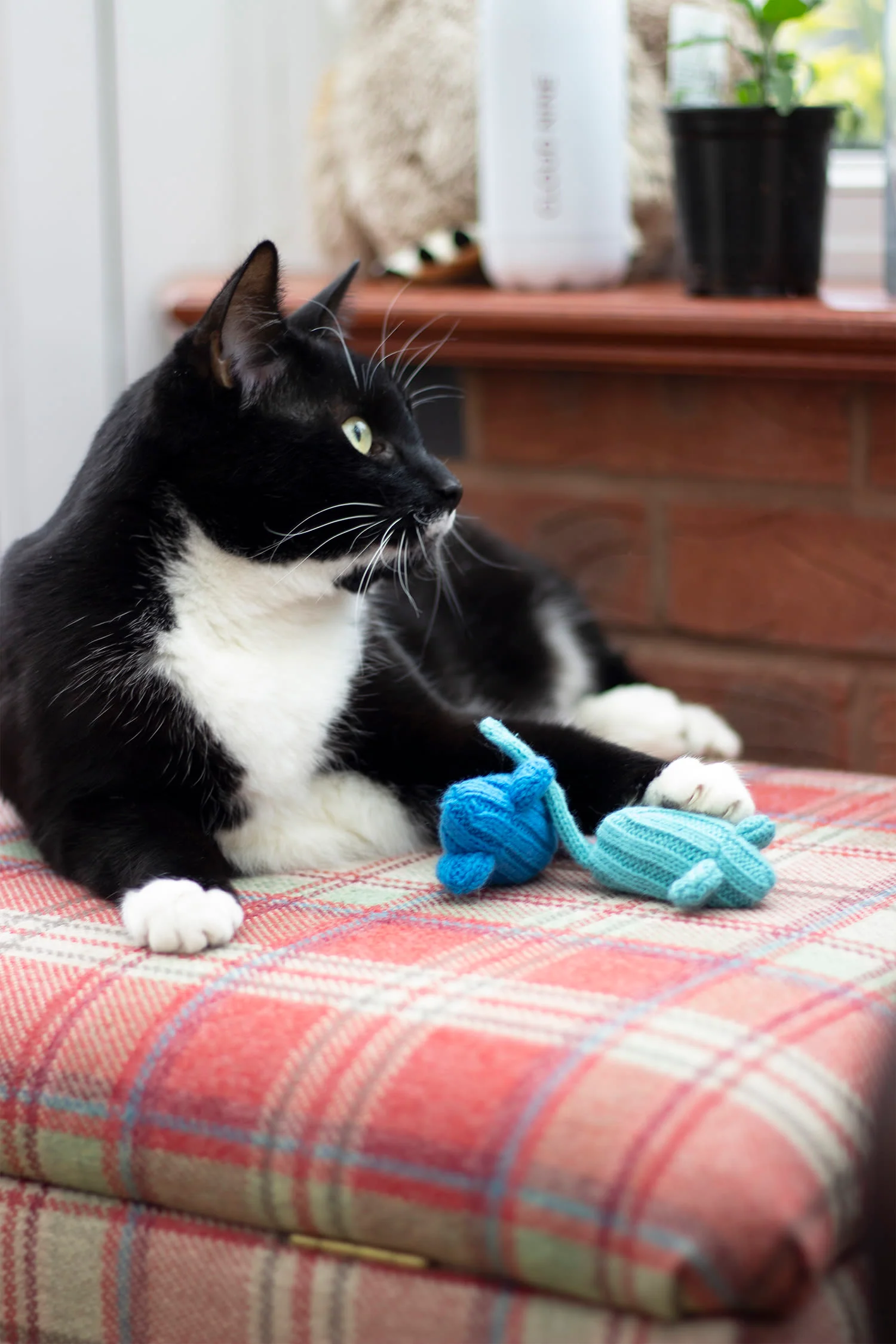 Rosewood Battersea Tune Chaser Mice Cat Toy - Image 11
