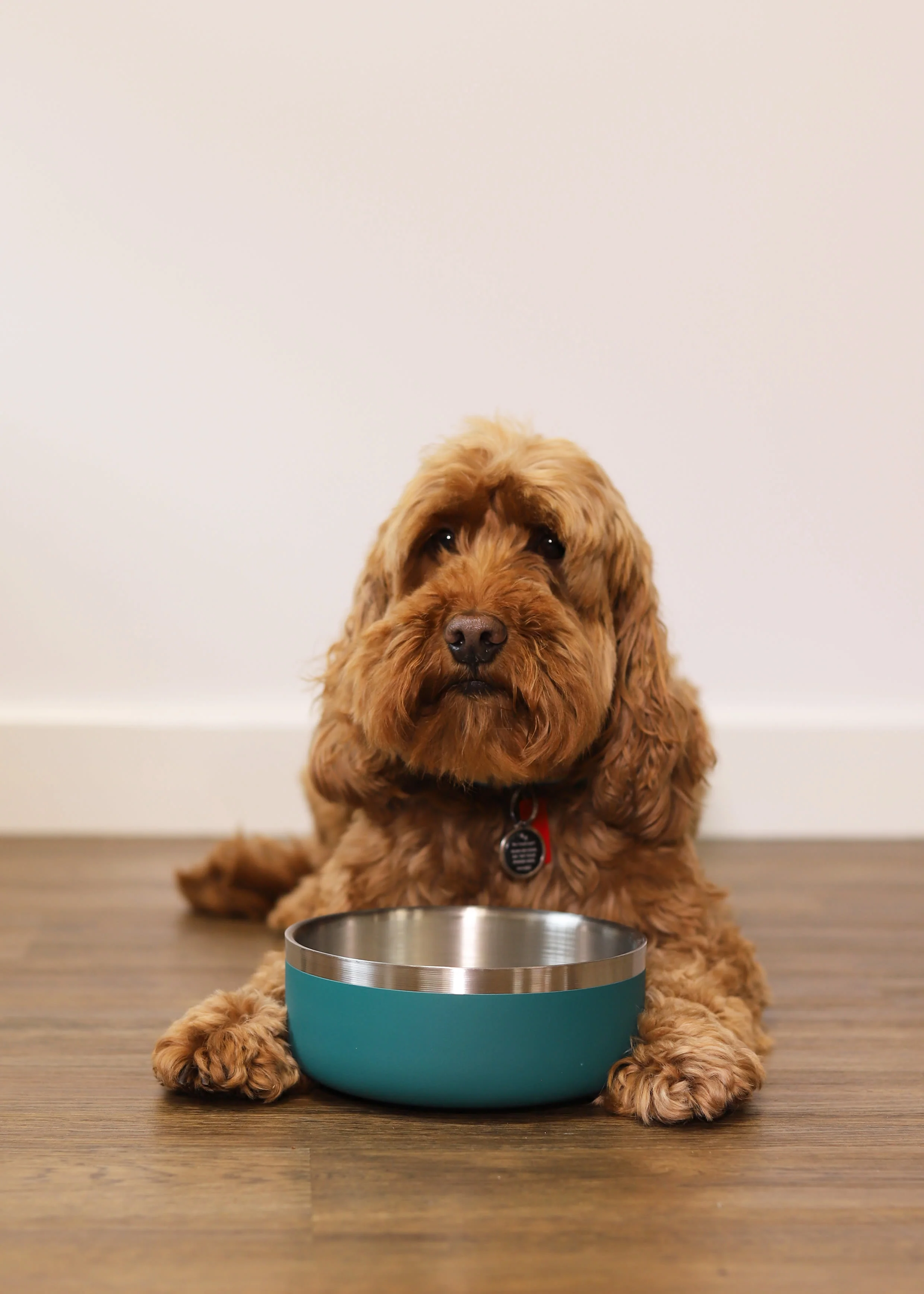 Rosewood Double Wall Stainless Steel Bowl - 1200ml - Image 2